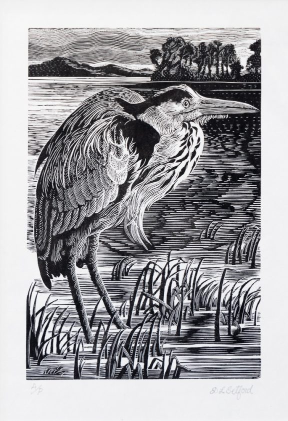 Heron. Wood engraving.