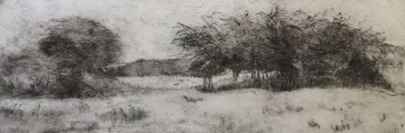 Hawthorns near Askwith - Drypoint