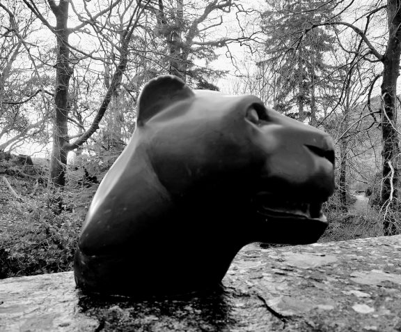 Panther Head B/W