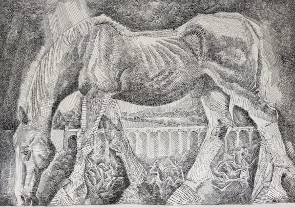 Horse at Ribblehead