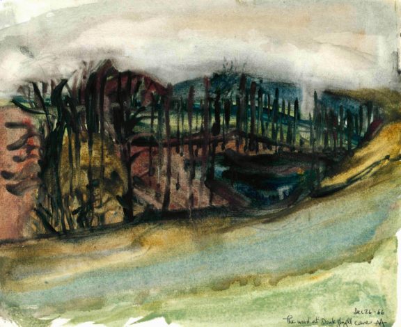 The Wood at Douk-Ghyll Cave