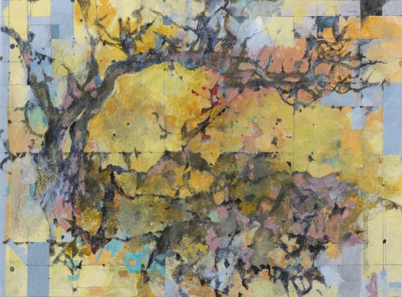 Hawthorne Tree, Chapel le Dale