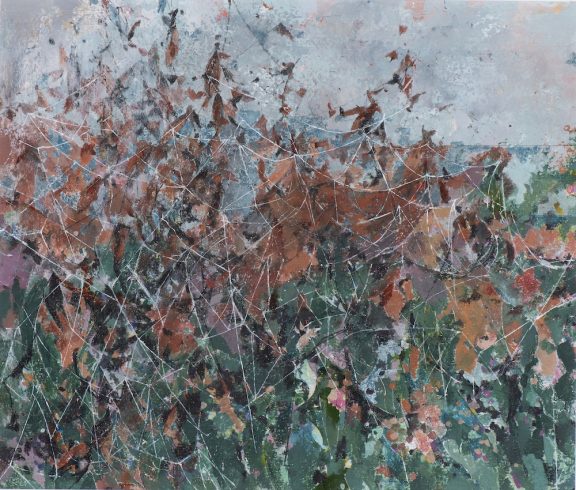 Landscape with Spider's Web